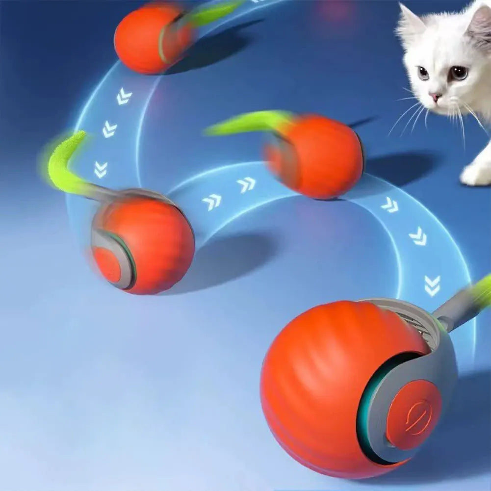 Balle interactive pour chat