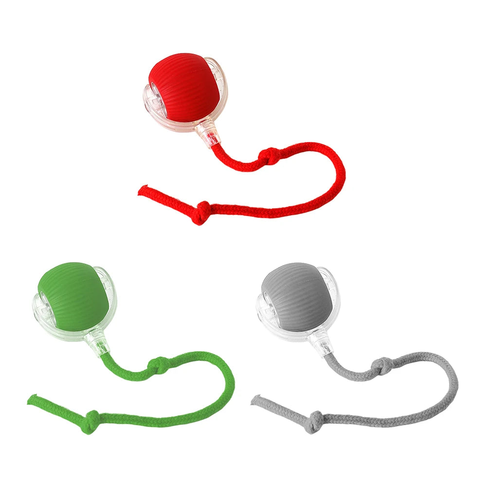 Balle de jeu interactive pour chat avec corde