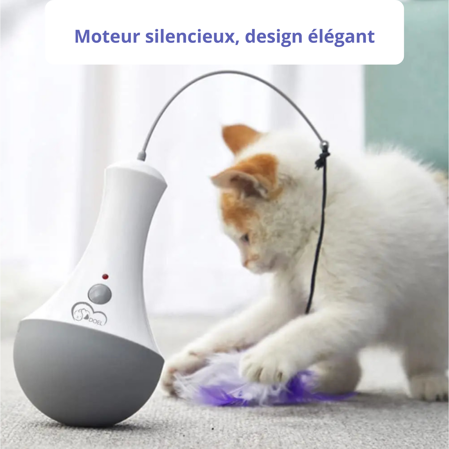 jeux interactif pour chat