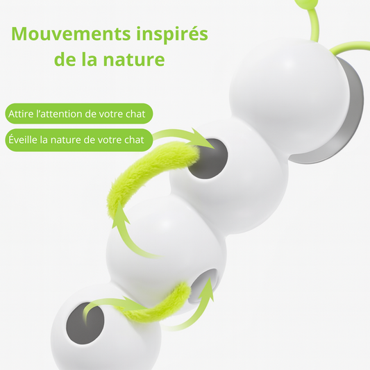 Chenille interactive – le compagnon de jeu intelligent de votre chat