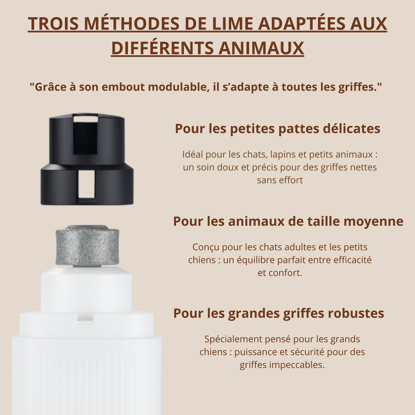 Lime Électrique Rechargeable CatNail™ – Pour des griffes douces et soignées