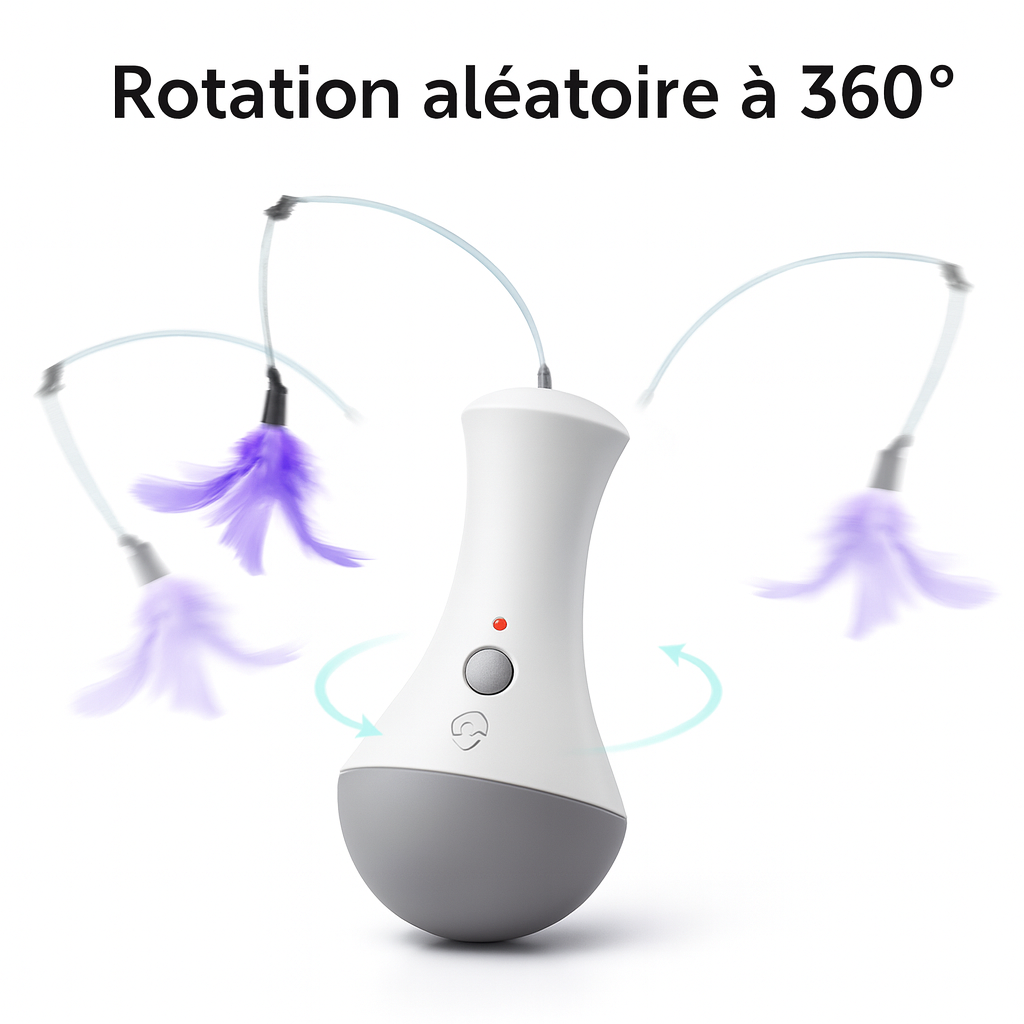 jeux interactif pour chat