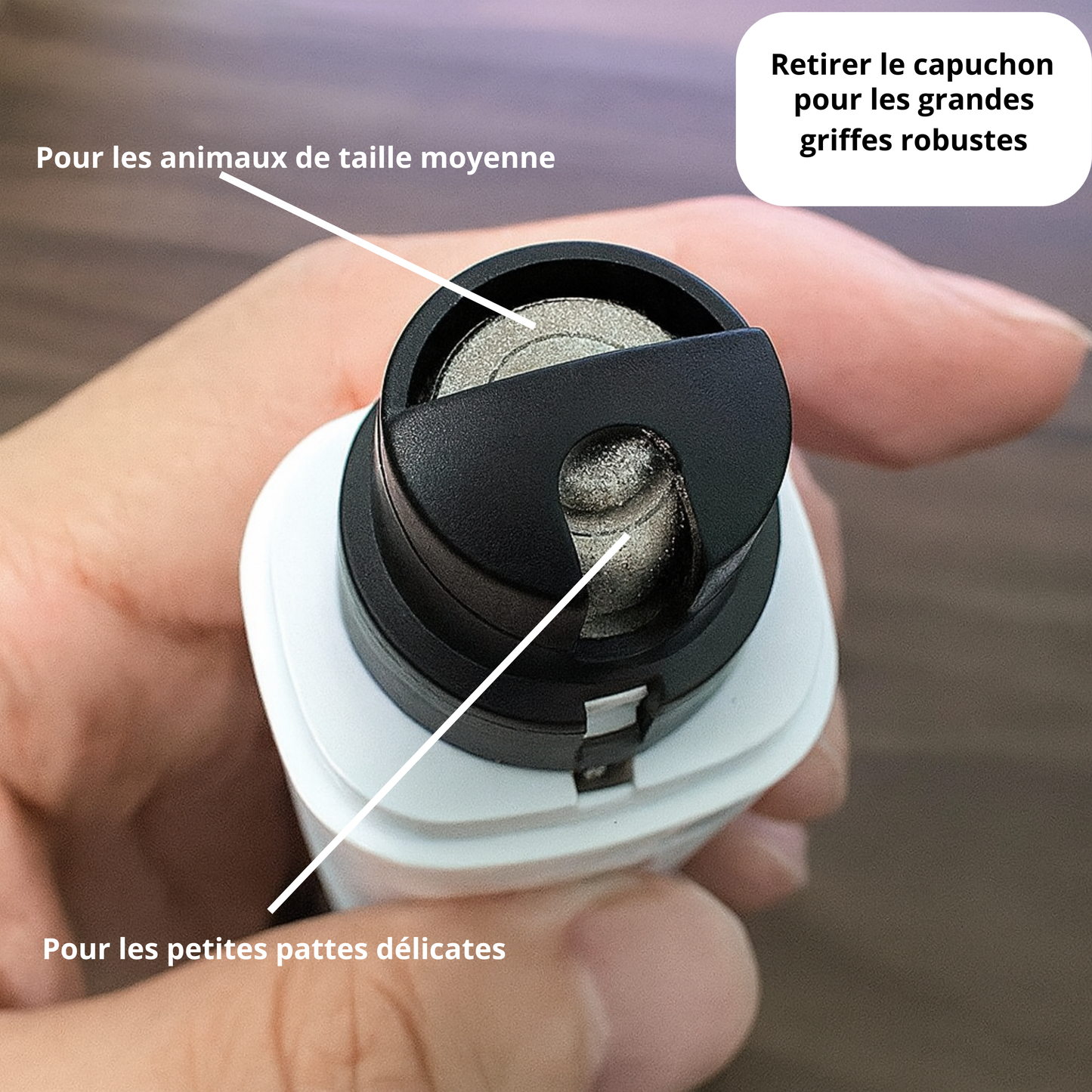 Lime Électrique Rechargeable CatNail™ – Pour des griffes douces et soignées